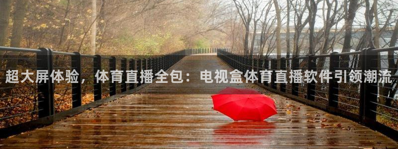 833直播网：超大屏体验，体育直播全包：电视盒体育直播软件引领潮流