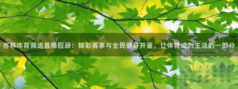 833直播足球免费观看：吉林体育频道直播回顾：精彩赛事与全民健身并重，让体育成为生活的一部分