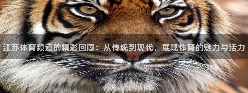 833直播nba高清直播：江苏体育频道的精彩回顾：从传统到现代，展现体育的魅力与活力