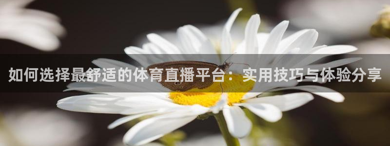 833直播世界杯：如何选择最舒适的体育直播平台：实用技巧与体验分享