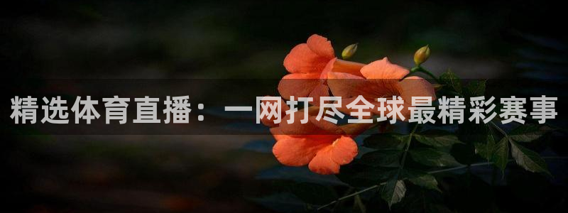 833直播比赛免费观看入口：精选体育直播：一网打尽全球最精彩赛事