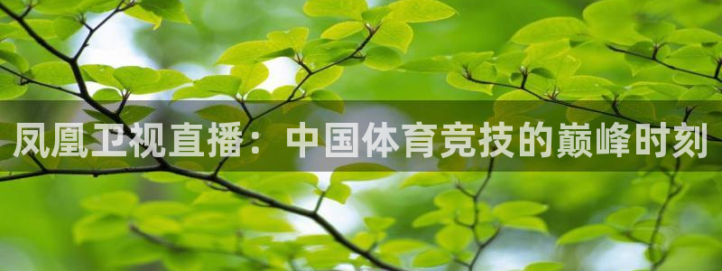 833直播nba在线直播播放：凤凰卫视直播：中国体育竞技的巅峰时刻