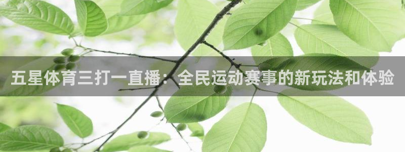 833直播nba在线播放免费版：五星体育三打一直播：全民运动赛事的新玩法和体验