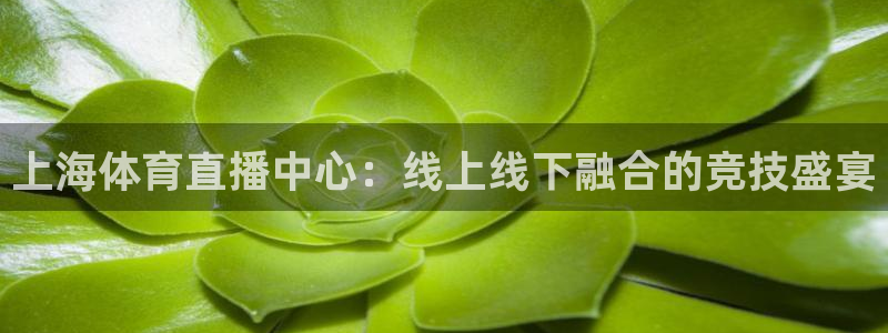 833直播足球比赛官网：上海体育直播中心：线上线下融合的竞技盛宴