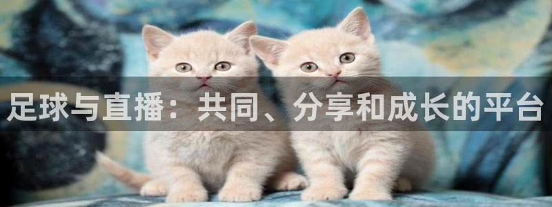 833直播下载步骤：足球与直播：共同、分享和成长的平台