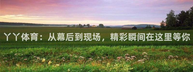 833直播直播：丫丫体育：从幕后到现场，精彩瞬间在这里等你