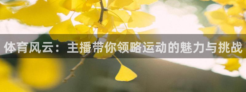 833直播nba免费观看：体育风云：主播带你领略运动的魅力与挑战