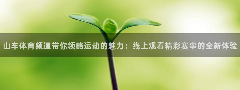 833直播世界杯：山车体育频道带你领略运动的魅力：线上观看精彩赛事的全新体验